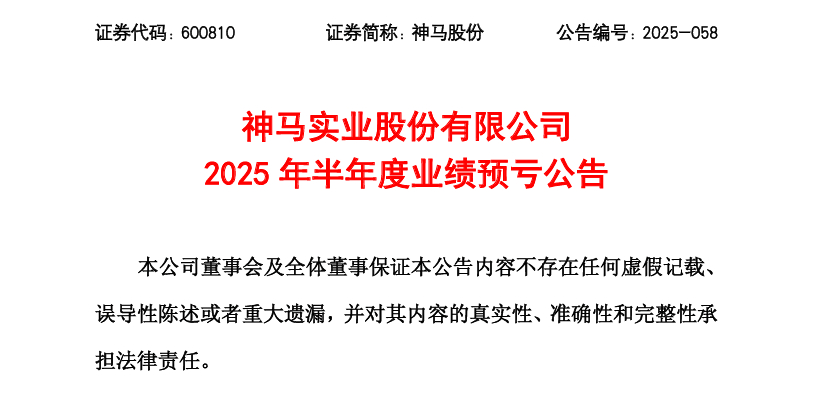 神马股份，预计2025上半年净利-3750万元！